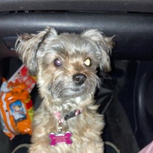 Meet your Posher, Carlos